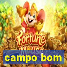 campo bom